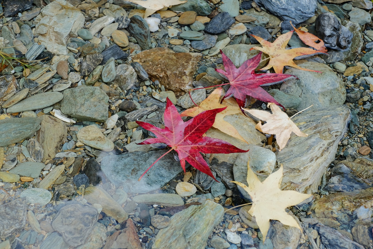 DSCF5370