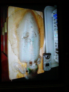 08996b22.jpg