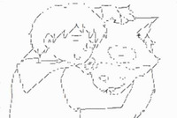 よく頑張った