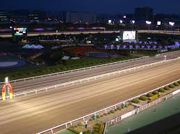 大井競馬場