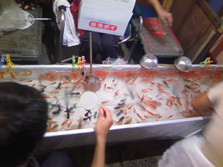 mitama5