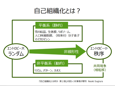書評】『自己組織化とは何か 第2版』①～自然科学と社会科学をつなぐ