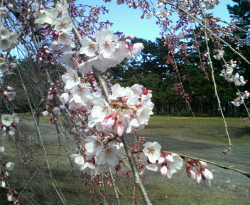 c0407997.jpg