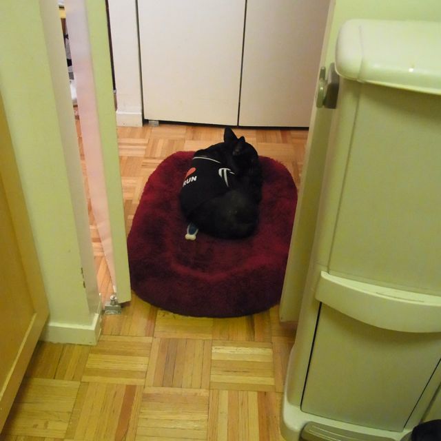 RIMG0667