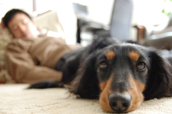 Manja1