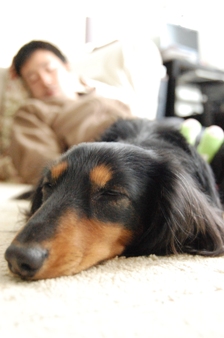 Manja3