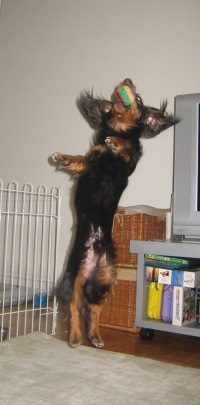 jump2