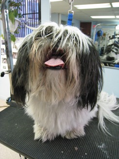 before