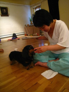 masako san