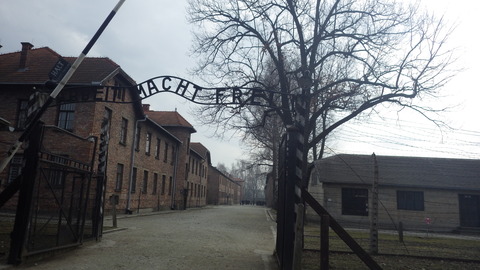 IMGP3118