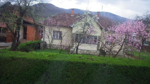 IMGP5571