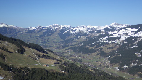 IMGP6095