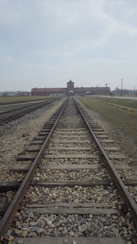 IMGP3196