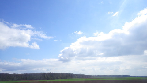 IMGP5586