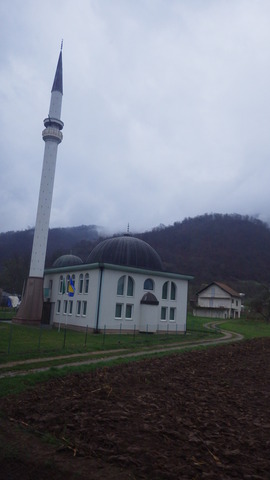IMGP5549