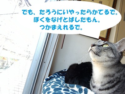 ファラでかい④-2