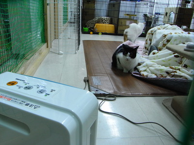 RIMG0227