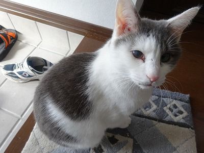 DSC00039