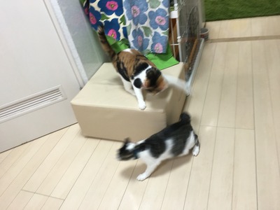 2016-01-30-15-01-57