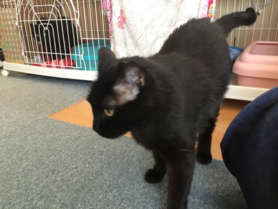 E7DDB57F-2B0E-438B-A8A2-F70F2FD66A2A