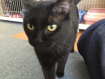 16045EFC-60D6-4F54-AB50-65D38A160722