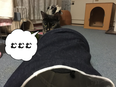 93434071-6374-46B1-8445-B7CEC9FA27DE