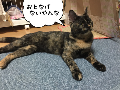 6CDDC5F1-0909-42C1-B89F-5E223D66AA35