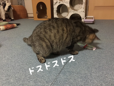 0A71B1AD-0D8C-4822-B6CE-54217BEAB695