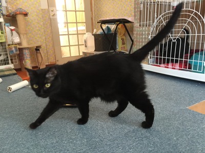 9FA16A8A-712E-4B46-8657-CA12DC43CB1A