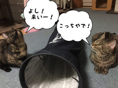 64364937-7EF0-427F-9F68-5FFBD5AC19B3