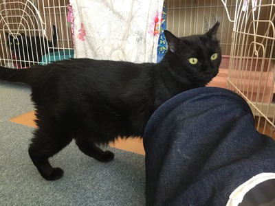 46AC4FFD-1329-431E-9718-B49E85D6A16B