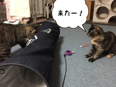 BCF6F17F-2FB3-4F59-A55F-EF81E24C4A90