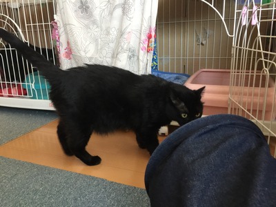 B2892995-47BE-4898-B8C9-2AA2BEC46C51