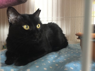 A053974B-26BF-47FC-91D9-703B0744650D