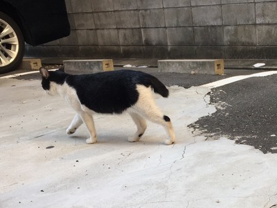 022C8FE3-374D-4F22-8147-5A2CB5F0E5C2