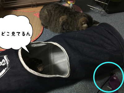 7F342A3C-E9A1-4CAD-8405-12218DCB6629