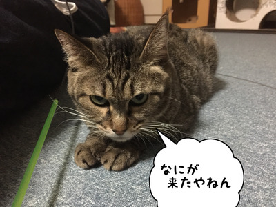 BB197835-036E-4642-BF65-6E3F1B03FC41