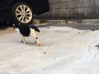 BD62487B-2160-449D-826D-07A80C395061