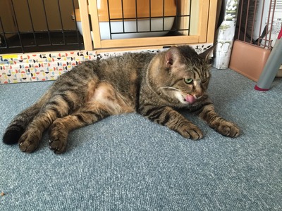 C469496C-8390-4153-A05C-C3372A6BE0DF