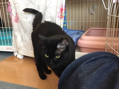 C134AD06-694E-4BEB-9357-735C0247A914