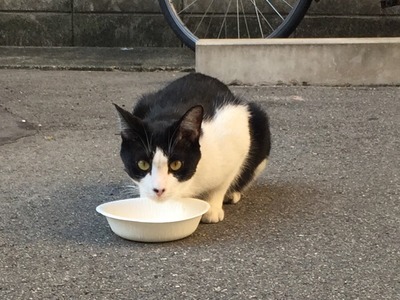 55DB504D-138D-4E4C-BAC4-ABD2EE95E15B