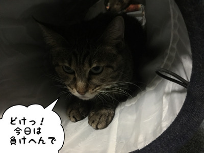 4EA31DE6-D442-499B-94F1-E71B7C964C32