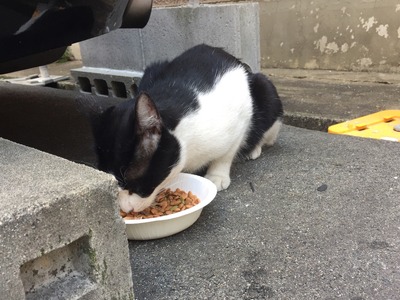 134C43A9-62C9-4B4C-834B-2202286678D9