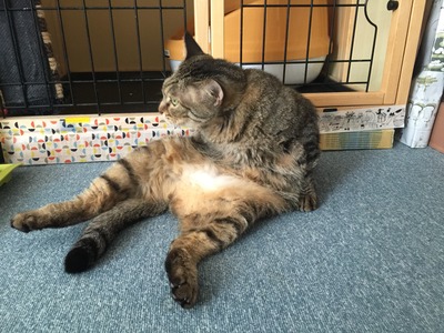 CD8847CD-5255-4D21-A7EE-20B463E35EAD