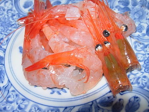 画像 523
