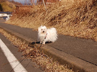 画像 008