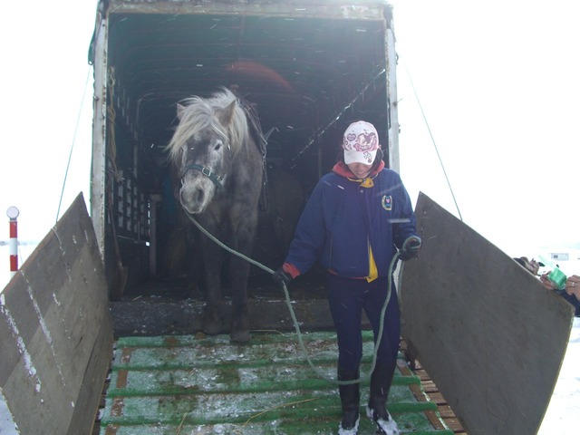 馬下車