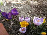 853012f8.JPG