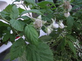 cd2b47e1.JPG