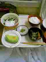 病人食